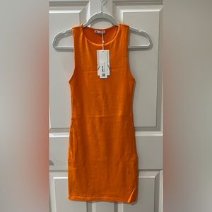 Woman’s Zara Mini Dress